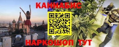 дмт Бердск