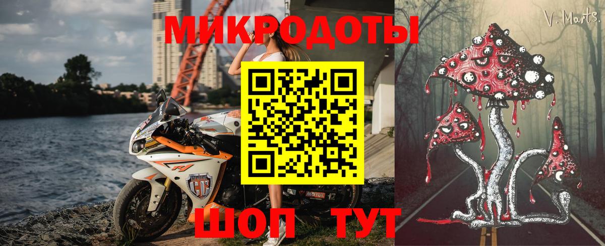 Псилоцибиновые грибы прущие грибы Октябрьский